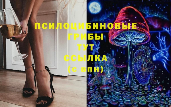 скорость Алексин