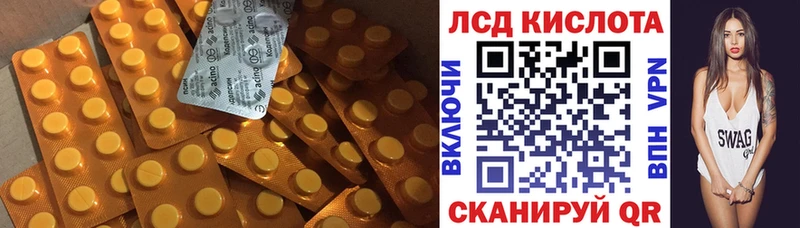 KRAKEN как войти  Павловская  ЛСД экстази кислота 