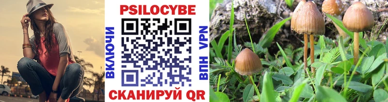 Галлюциногенные грибы Magic Shrooms  сколько стоит  Павловская 